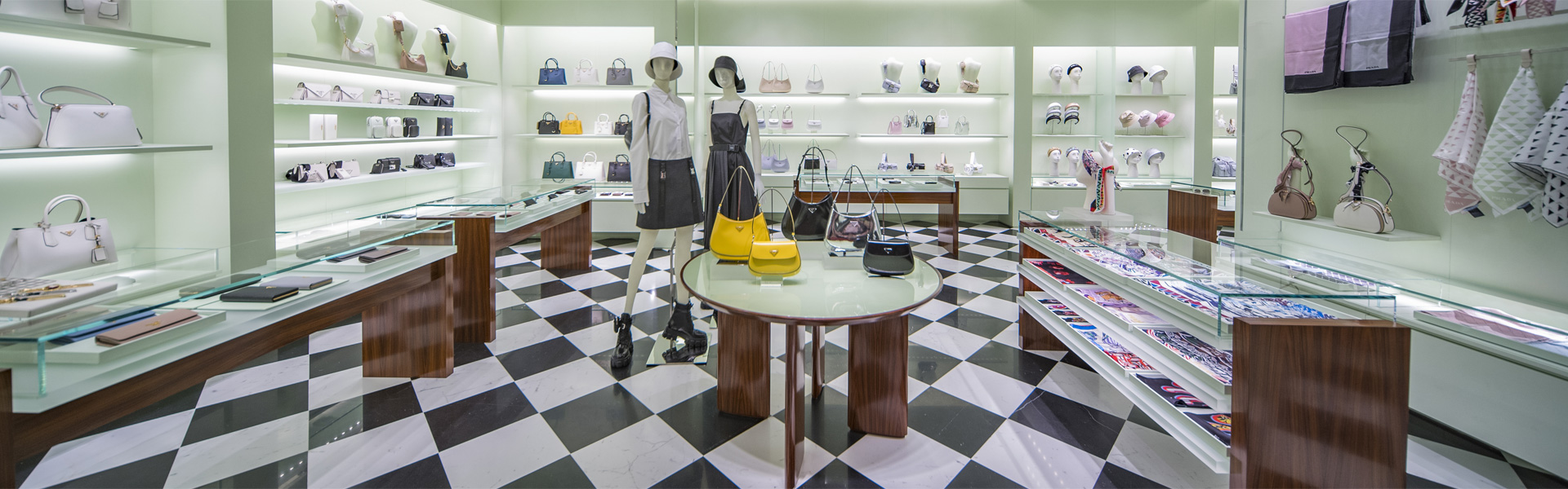 联系萝卜视频APP污成人